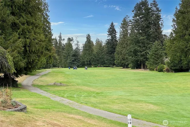 a view of a field with trees in the background