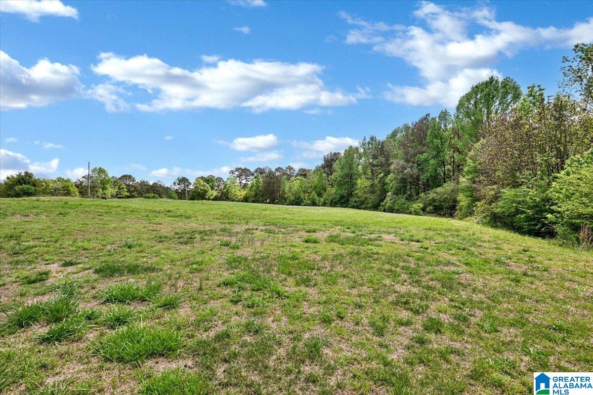 888 County Road 1663 Cullman, AL 35058 - Photo 2 of 20