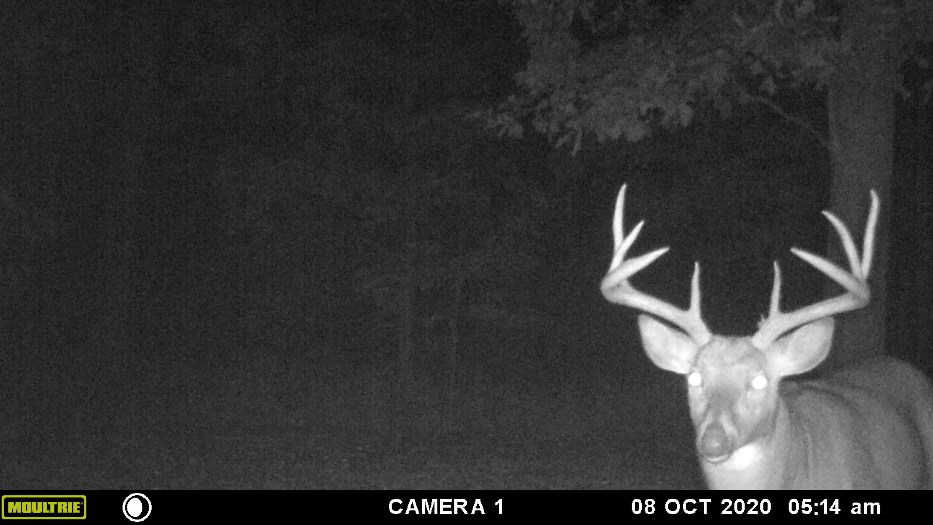 7 West Mile Road Irons, MI 49644 - Photo 39 of 49 MFDC3905