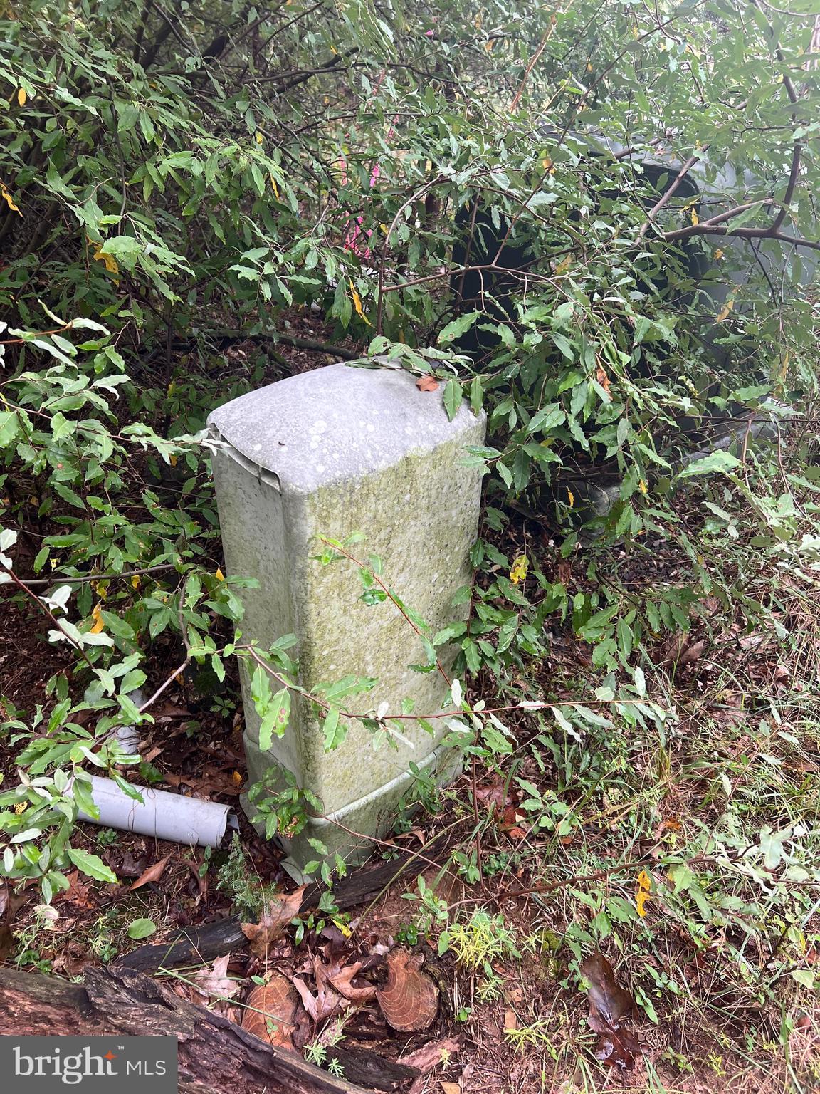 Husk Trail Berkeley Springs, WV 25411 - Photo 12 of 13