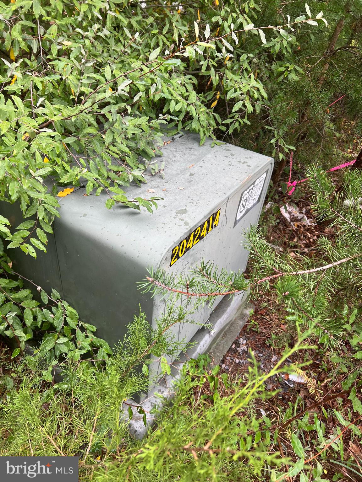 Husk Trail Berkeley Springs, WV 25411 - Photo 13 of 13