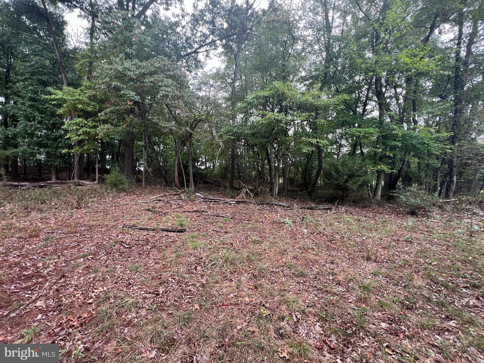 Husk Trail Berkeley Springs, WV 25411 - Photo 10 of 13