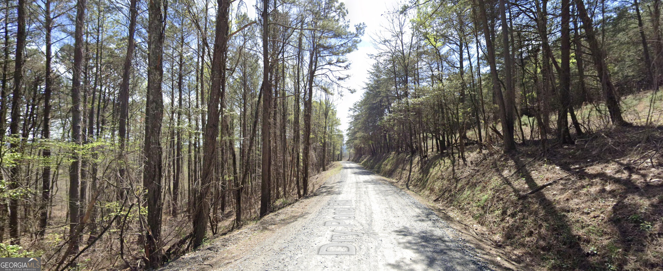 2-east Dry Pond Road, Unit LOT #2 EAST Ranger, GA 30734 - Photo 8 of 24