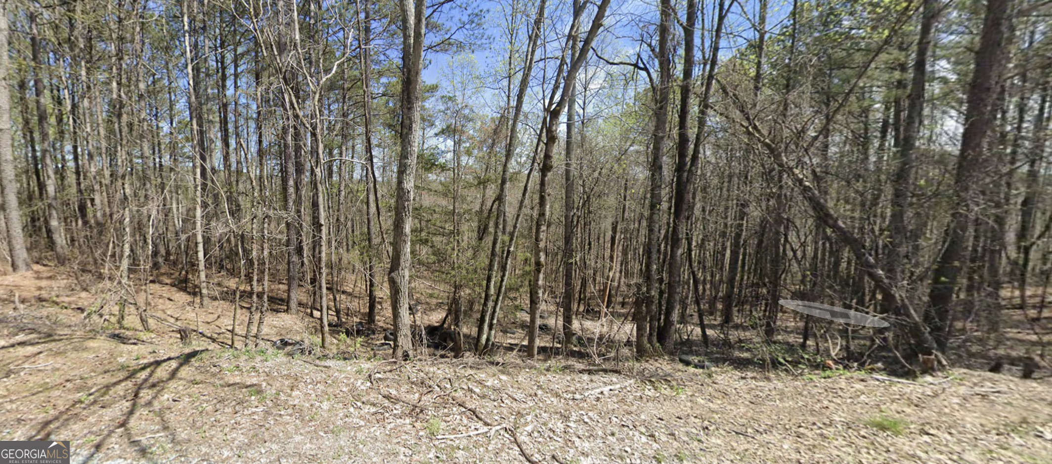 2-east Dry Pond Road, Unit LOT #2 EAST Ranger, GA 30734 - Photo 9 of 24 a view of backyard with trees