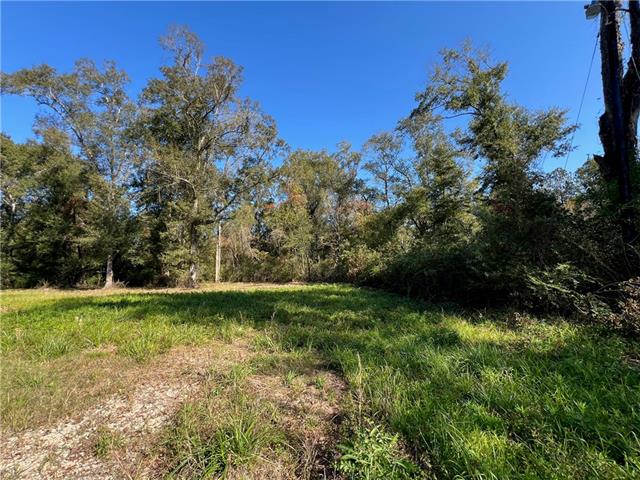 16137 East Minnesota Park Road Hammond, LA 70403 - Photo 17 of 19