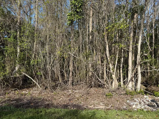 a view of a city street from a bench