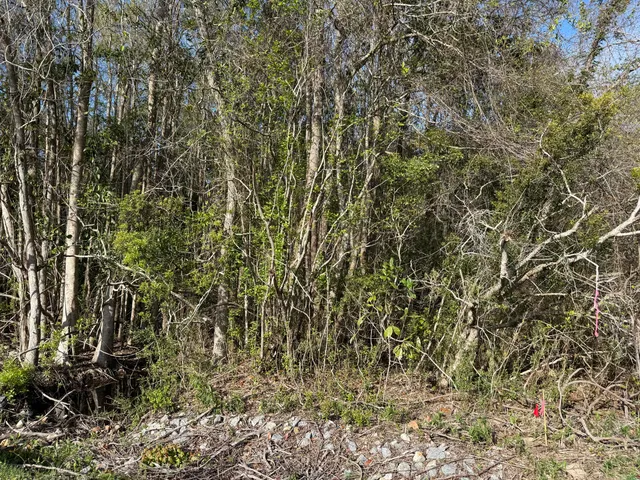 $37,000 | Lot 8 Marsh Drive, Freeport, FL 32439