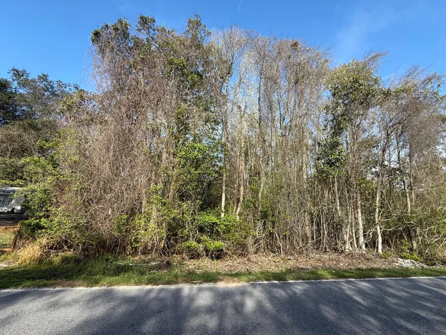 $37,000 | Lot 8 Marsh Drive, Freeport, FL 32439