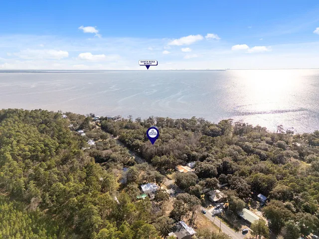 a view of a yard with large trees