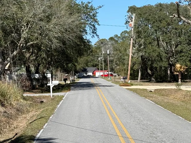 a view of a yard with large trees
