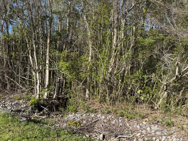 a backyard of a house