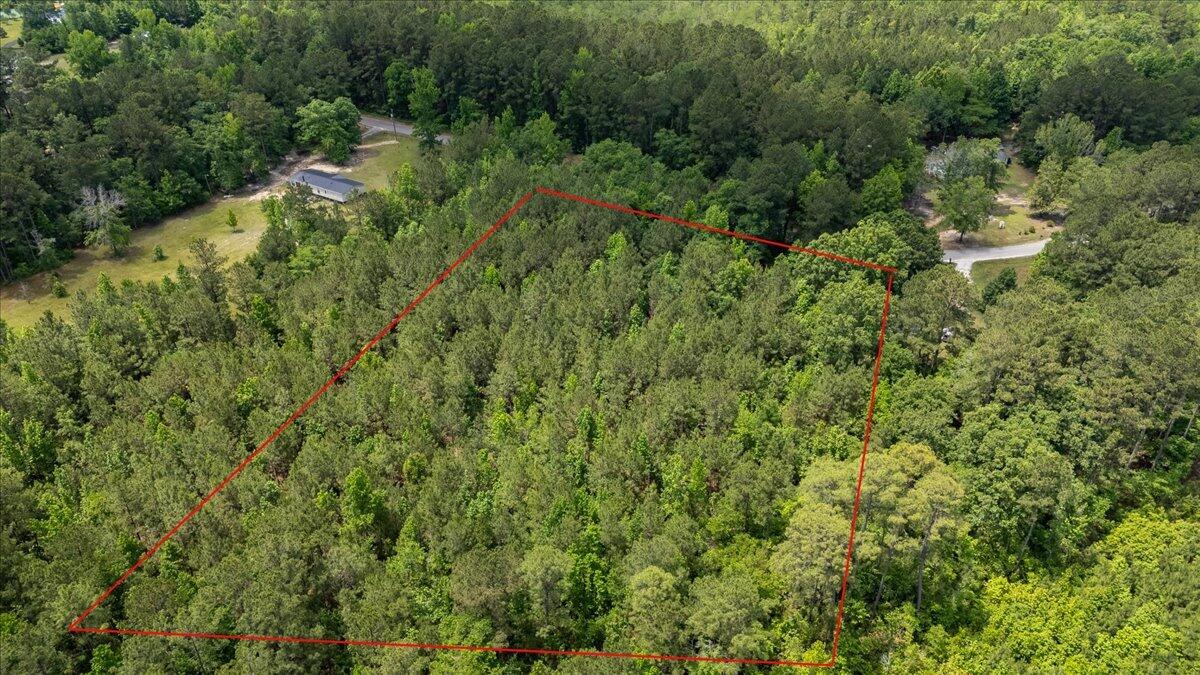 0 Deneaux Road Rowesville, SC 29133 - Photo 29 of 43 29-Deneaux-23a