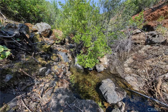 a view of a forest with lots of trees