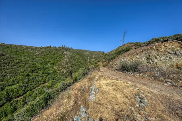 a view of a lush green space with sea