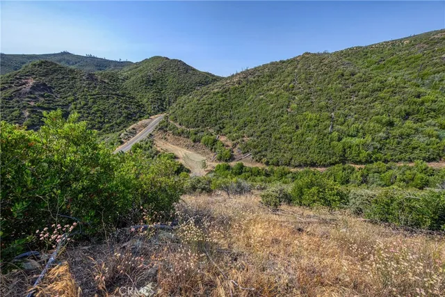 a view of a yard with a tree