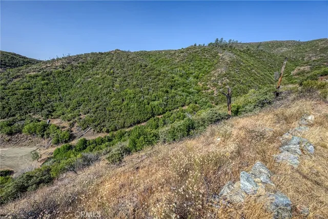 a view of a dirt road with trees in the background