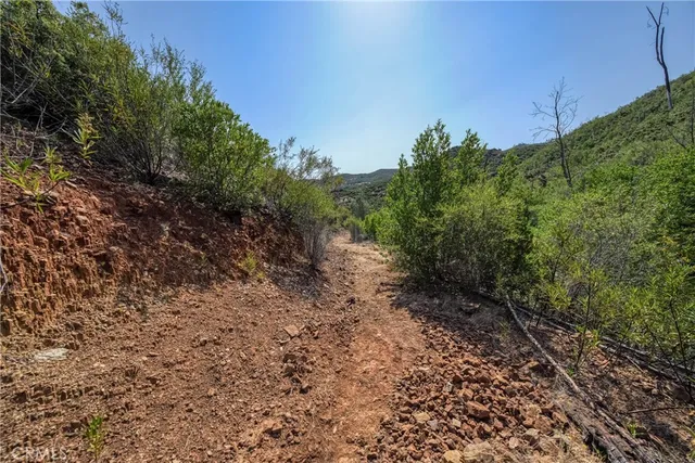 a view of a large yard with lots of green space