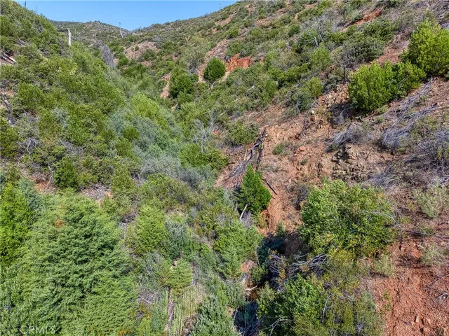 a view of a mountain range with tall trees
