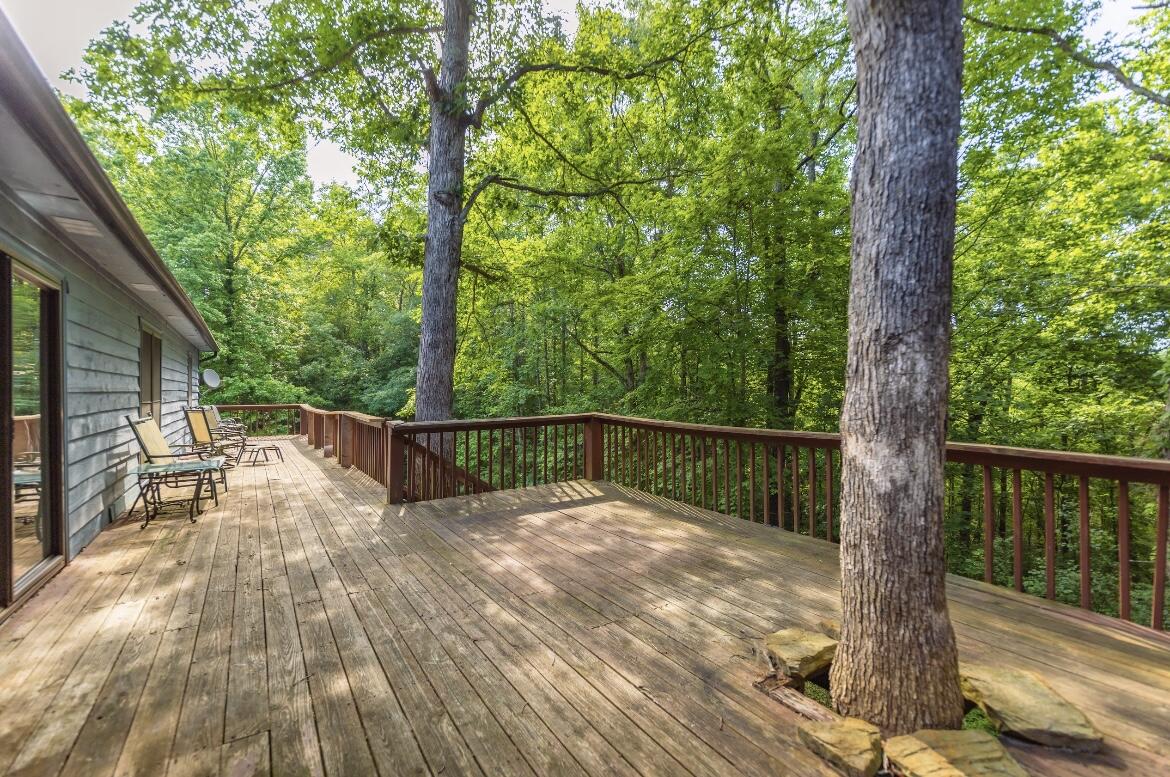 720 Murphy Ridge Road Stearns, KY 42647 - Photo 13 of 61 6ED859FB-1651-43CE-A41B-EB57A0867792