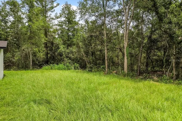 a house that has a lot of plants in it