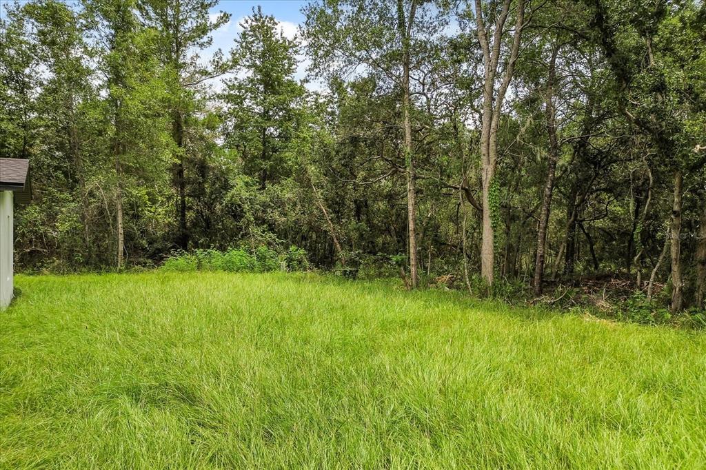 2097 Southwest 153rd Loop Ocala, FL 34481 - Photo 10 of 39 a view of backyard with green space