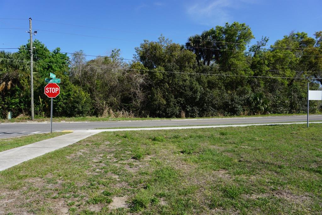 Palmetto Street Eustis, FL 32726 - Photo 2 of 5 a view of garden