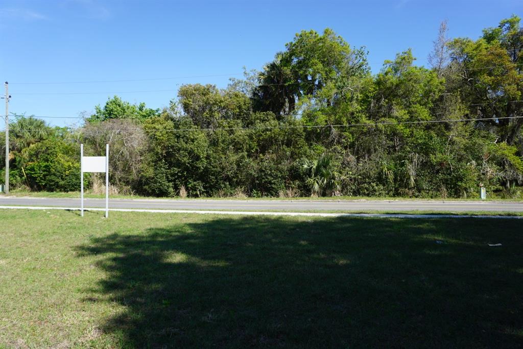 Palmetto Street Eustis, FL 32726 - Photo 4 of 5 a view of a park