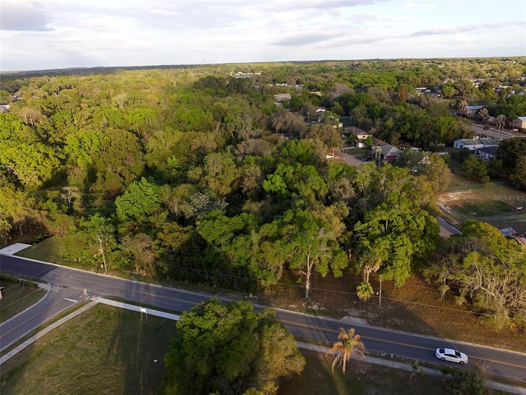 Palmetto Street Eustis, FL 32726 - Photo 5 of 5 view of a lake with a mountain