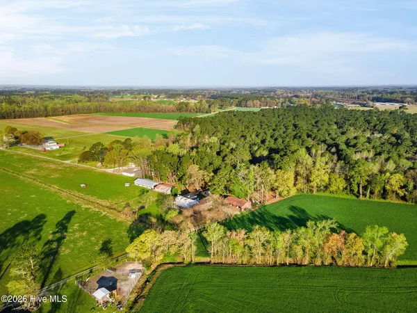 $225,000 | 295 Henry Dunn Pickett Road, Beulaville, NC 28518