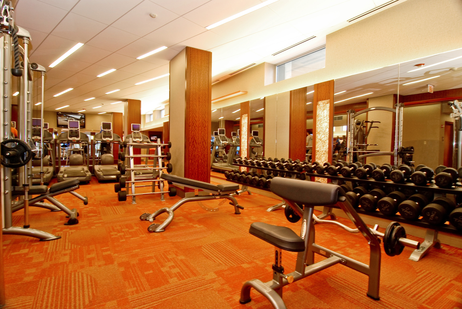 400 East Randolph Street, Unit 3905 Chicago, IL 60601 - Photo 32 of 55 a room with gym equipment and mirror