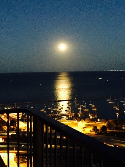 400 East Randolph Street, Unit 3905 Chicago, IL 60601 - Photo 47 of 55