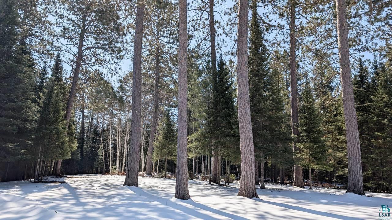 8854 River Road Angora, MN 55703 - Photo 29 of 37