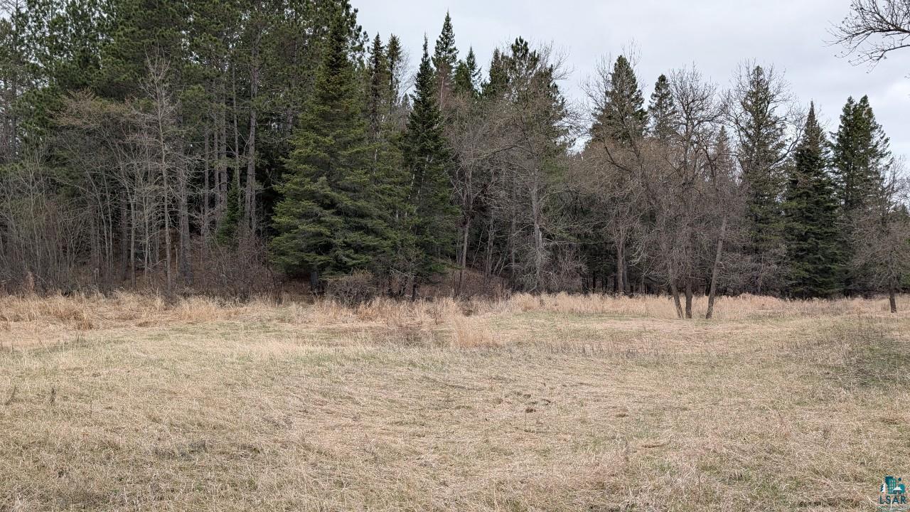 8854 River Road Angora, MN 55703 - Photo 42 of 43