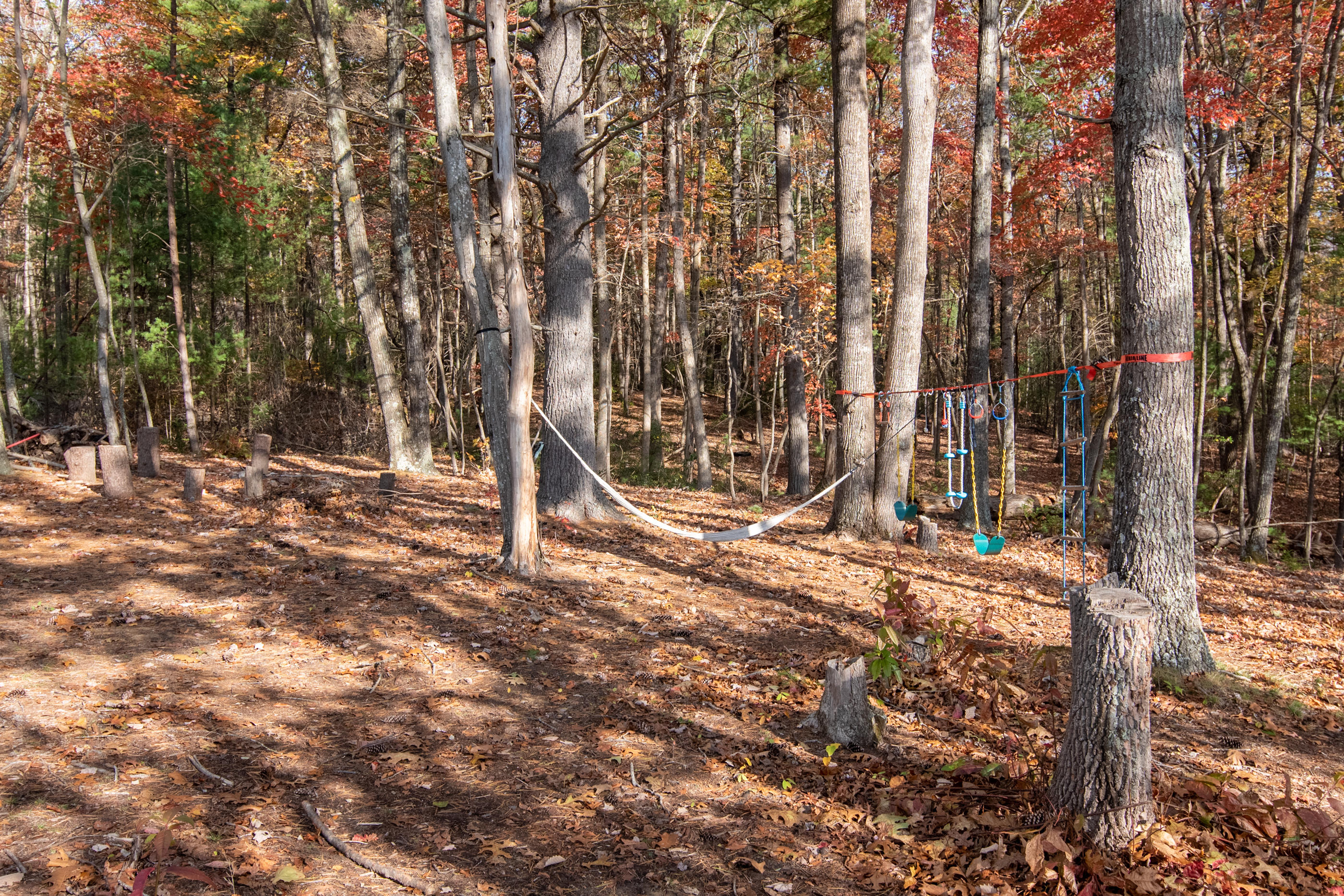 8931 Newport Road Catawba, VA 24070 - Photo 55 of 69 z29