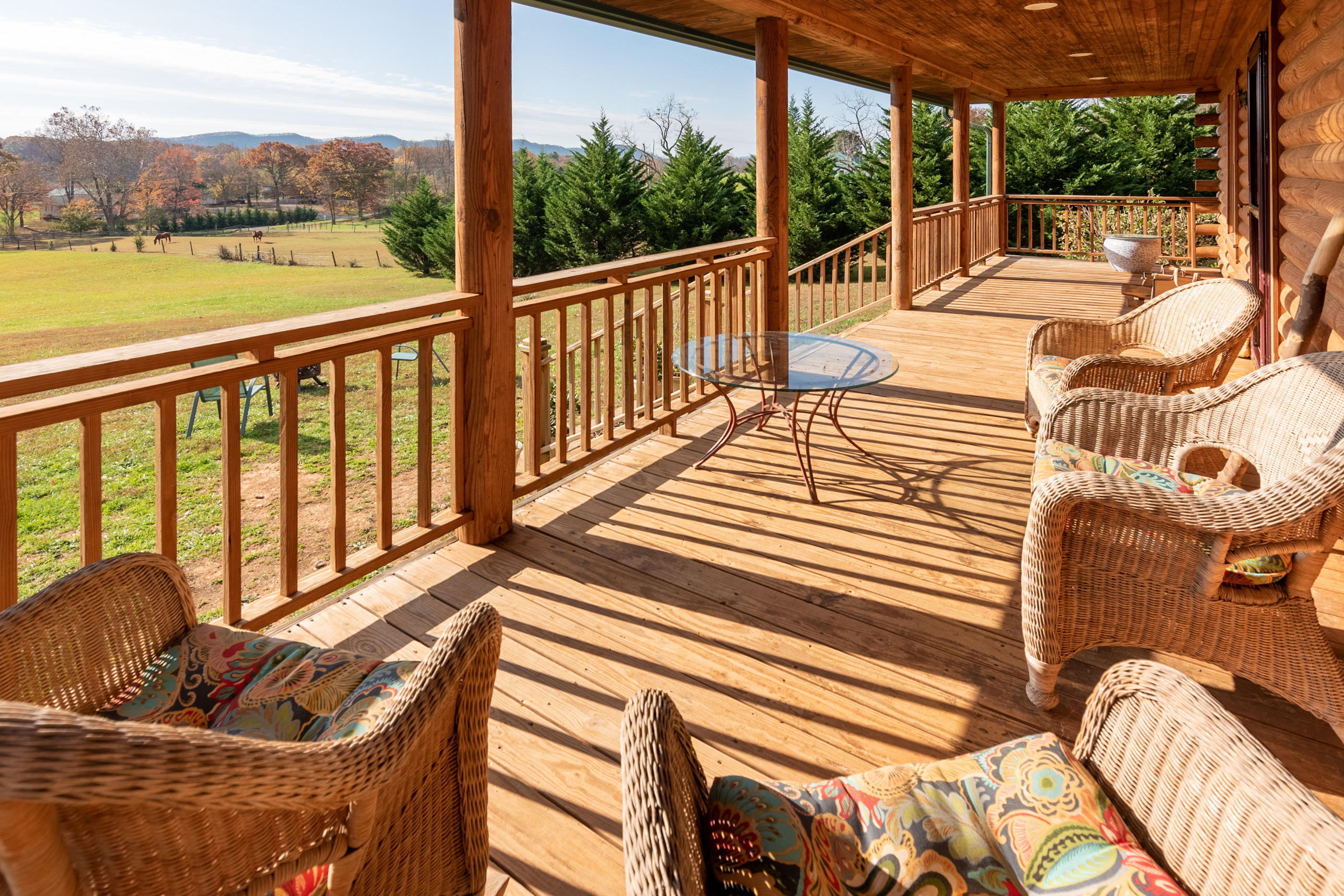 8931 Newport Road Catawba, VA 24070 - Photo 7 of 69 g
