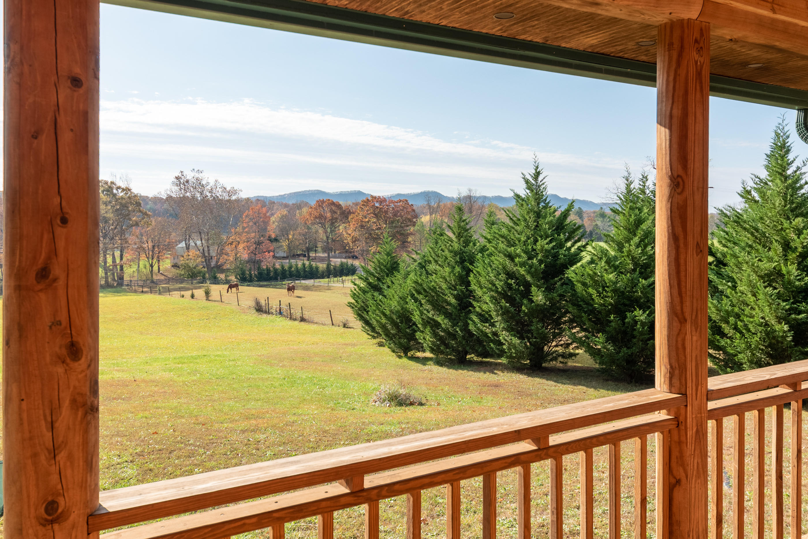 8931 Newport Road Catawba, VA 24070 - Photo 8 of 69 h