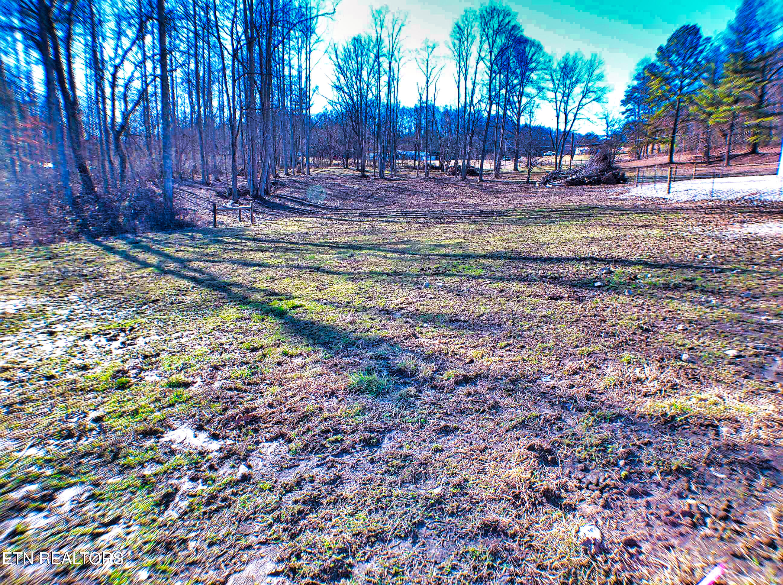 128 Knepp Road Deer Lodge, TN 37726 - Photo 37 of 55 ANMP0144