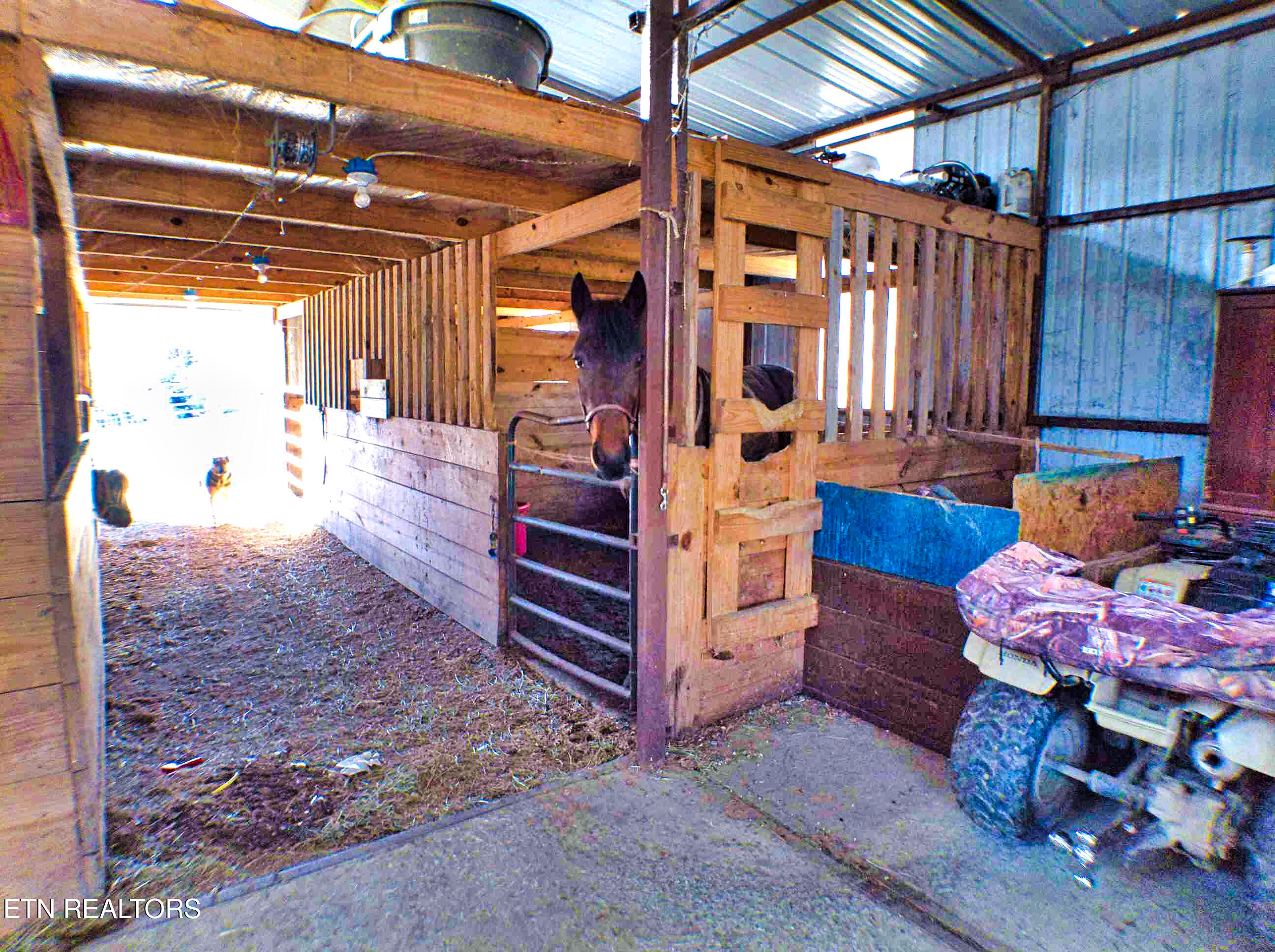 128 Knepp Road Deer Lodge, TN 37726 - Photo 47 of 55 ANMP0154