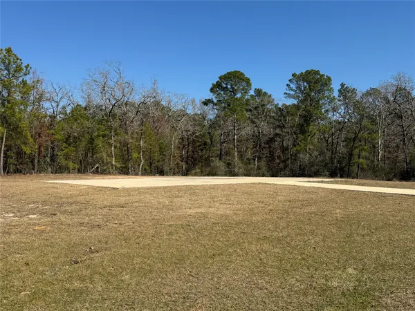 a view of a field