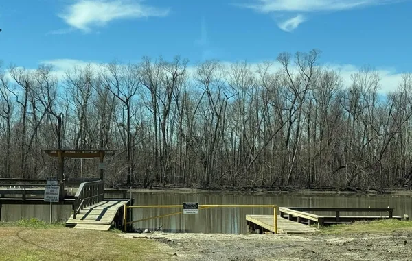a view of a swimming pool with a yard and large trees