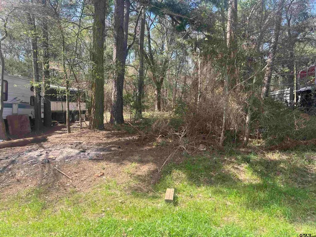 $40,000 | Tbd Paradise Circle, Chandler, TX 75758