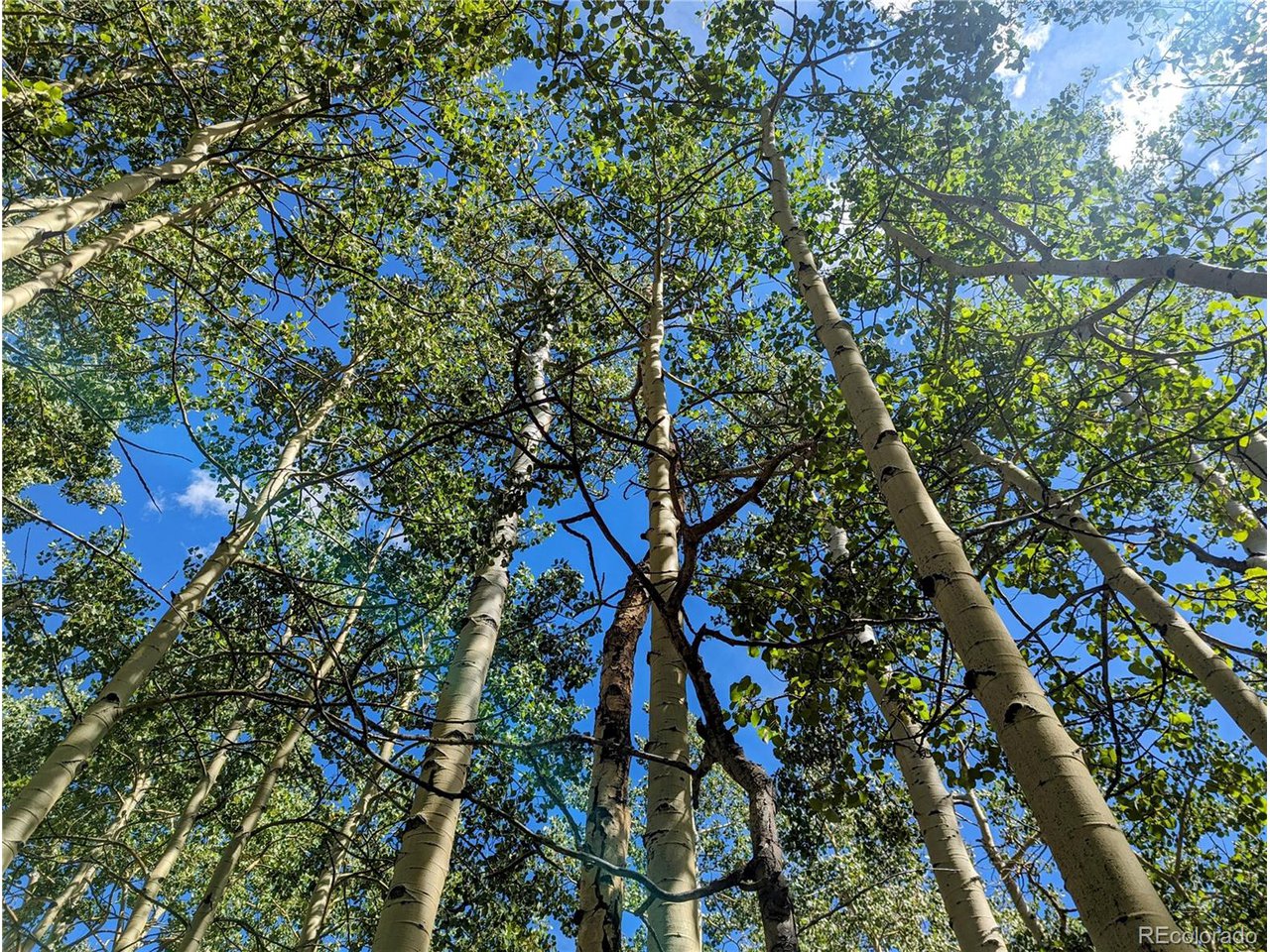 5387 Adams Road Fort Garland, CO 81133 - Photo 1 of 25