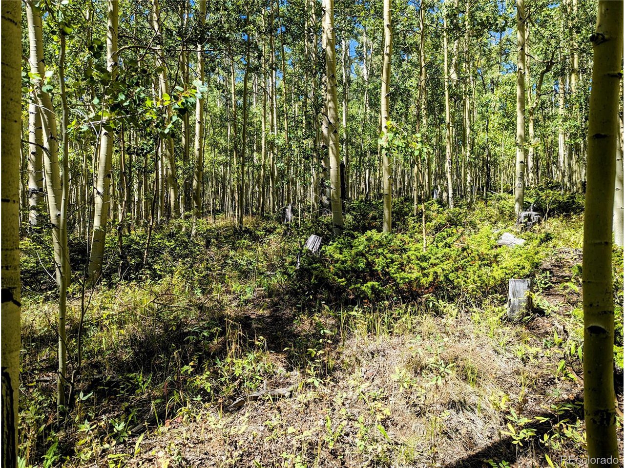 5387 Adams Road Fort Garland, CO 81133 - Photo 11 of 25