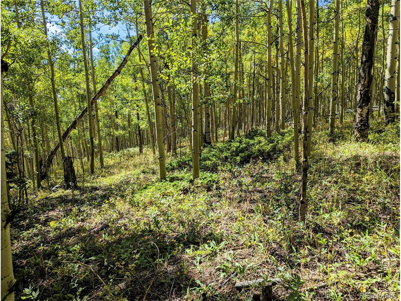 5387 Adams Road Fort Garland, CO 81133 - Photo 12 of 25