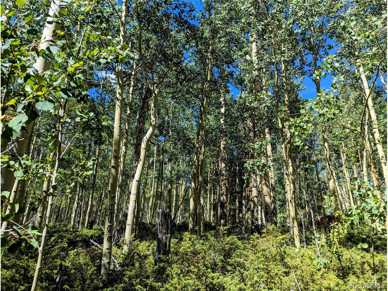 5387 Adams Road Fort Garland, CO 81133 - Photo 13 of 25