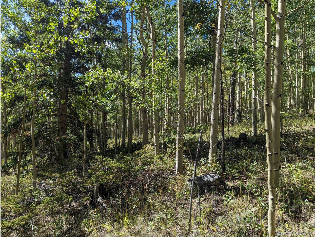 5387 Adams Road Fort Garland, CO 81133 - Photo 14 of 25