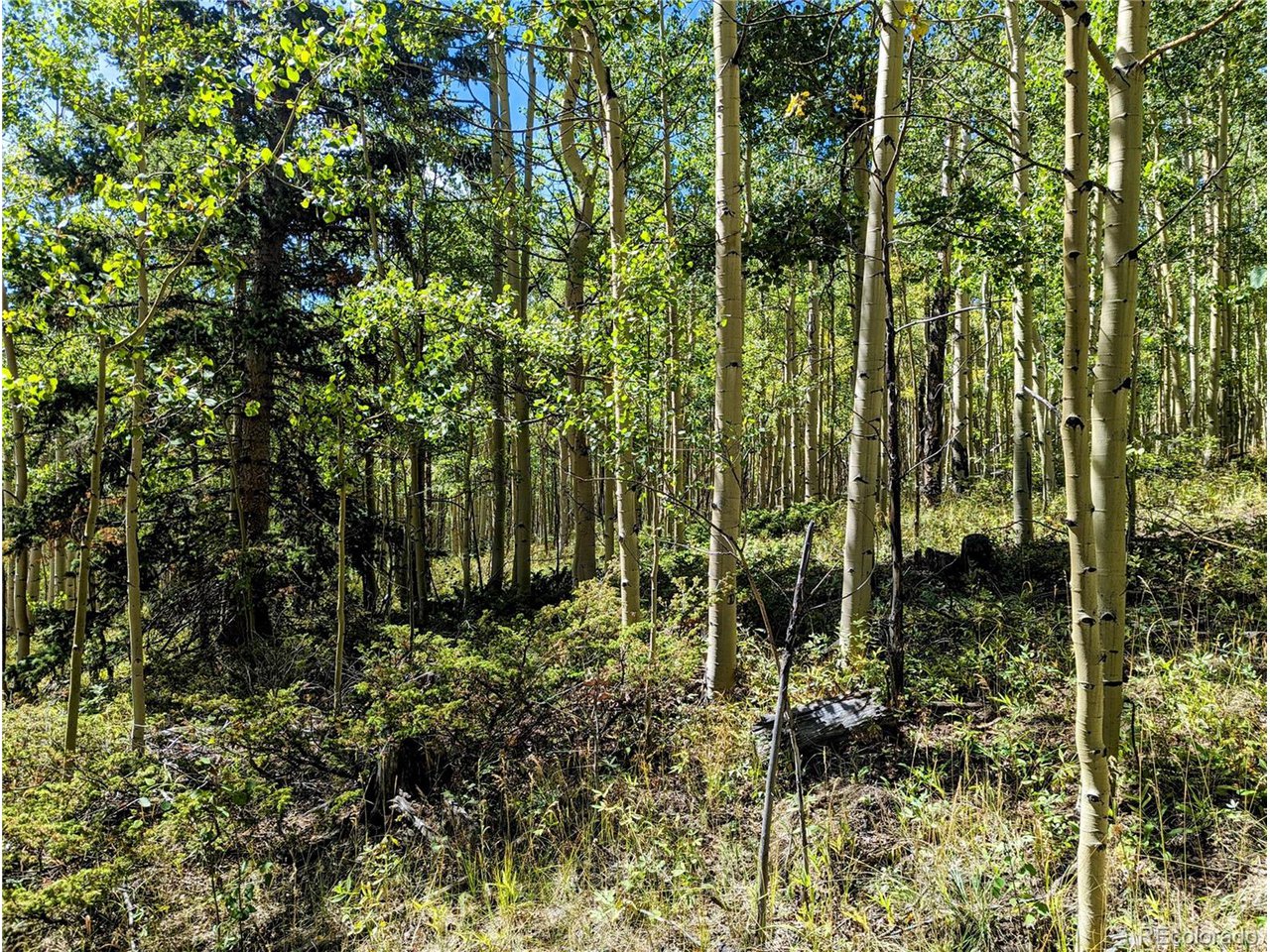 5387 Adams Road Fort Garland, CO 81133 - Photo 15 of 25