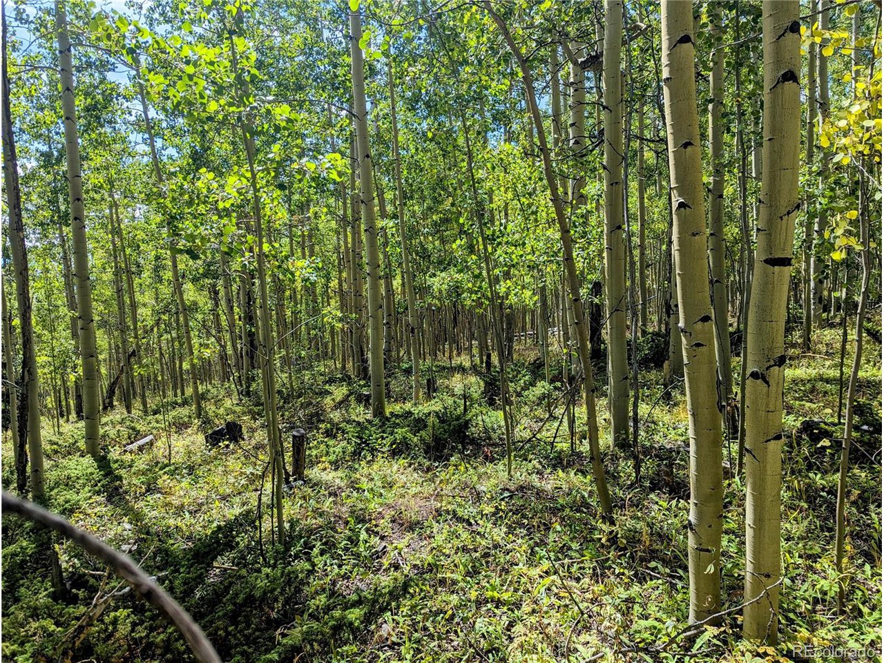 5387 Adams Road Fort Garland, CO 81133 - Photo 16 of 25