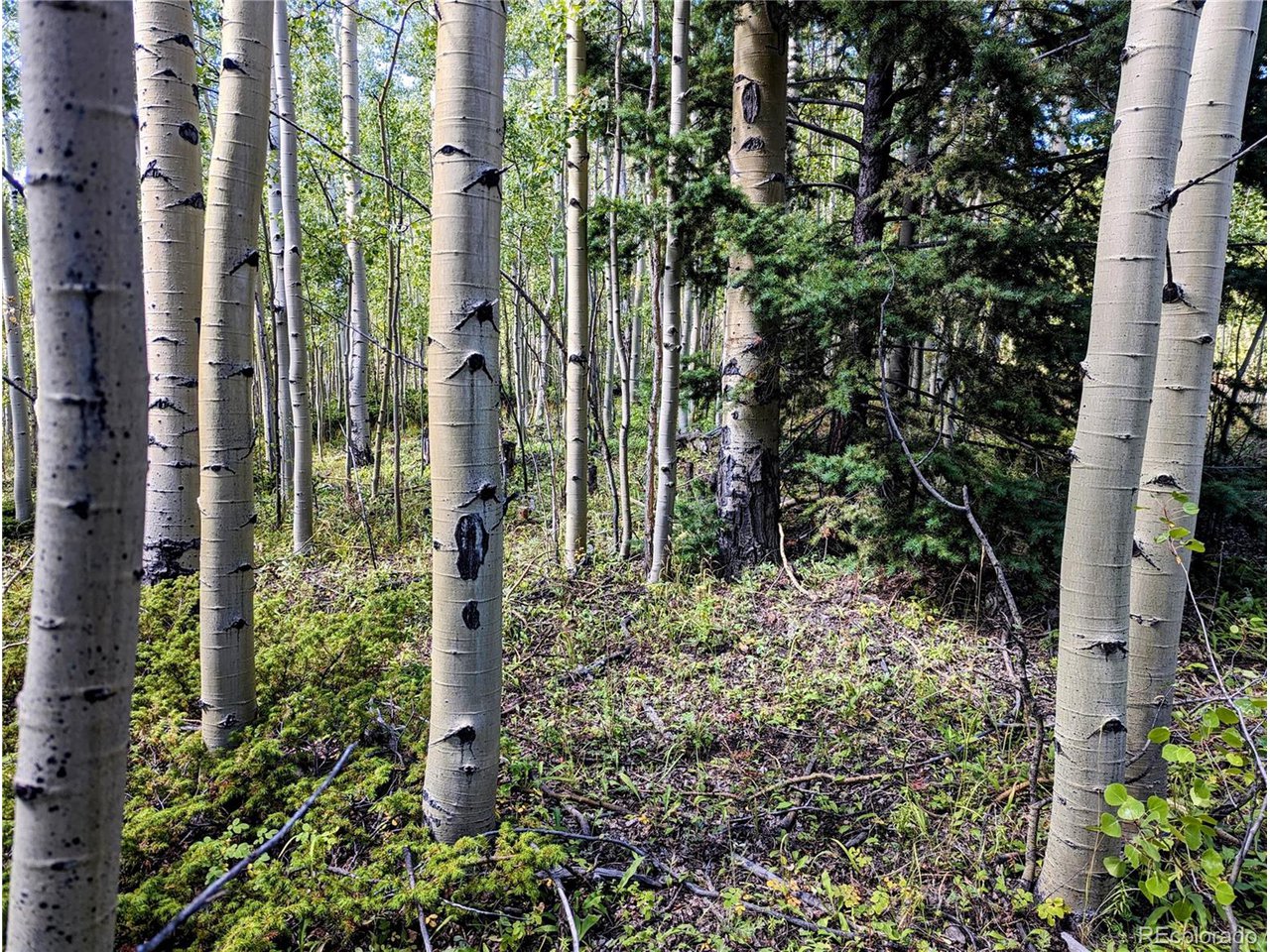 5387 Adams Road Fort Garland, CO 81133 - Photo 17 of 25