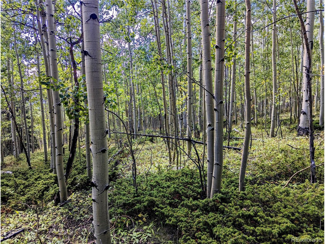 5387 Adams Road Fort Garland, CO 81133 - Photo 18 of 25